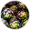garcinia